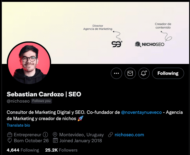 Perfil de Twitter de @nichoseo