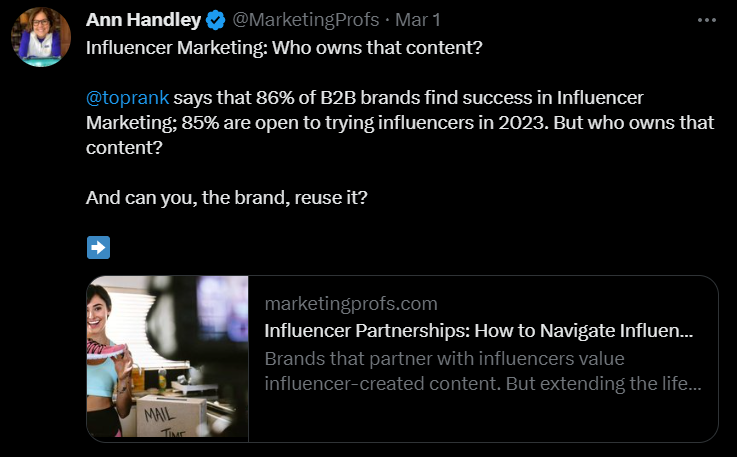 Bets twitter follows-Ann Handley (@MarketingProfs)