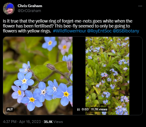 how to write a tweet_Curiosity