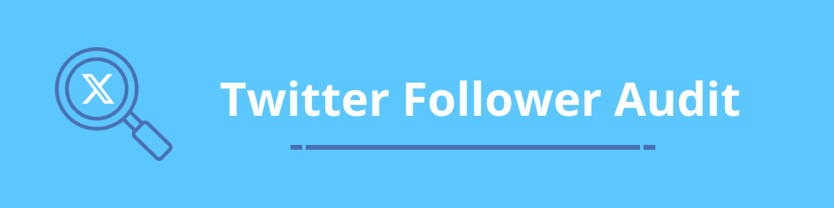 Twitter follower audit