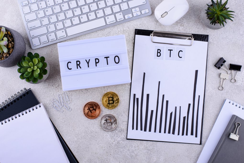 Crypto educational insights